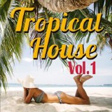 gemafreie CD - Tropical House Music Vol. 1